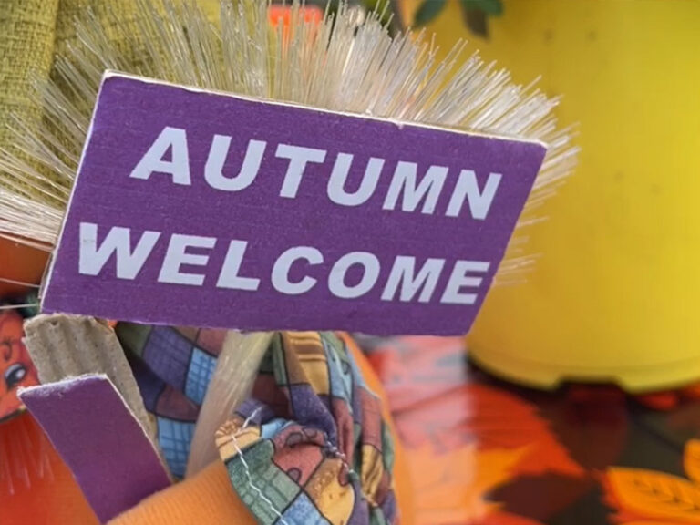 Fall Family Fun Fest - Collette McDonald & Associates